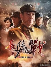 豫东战役:有哪些大兵团作战的电视剧？