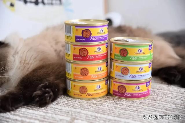 什么牌子的猫罐头好一些:有哪些猫粮、猫罐头可以推荐？