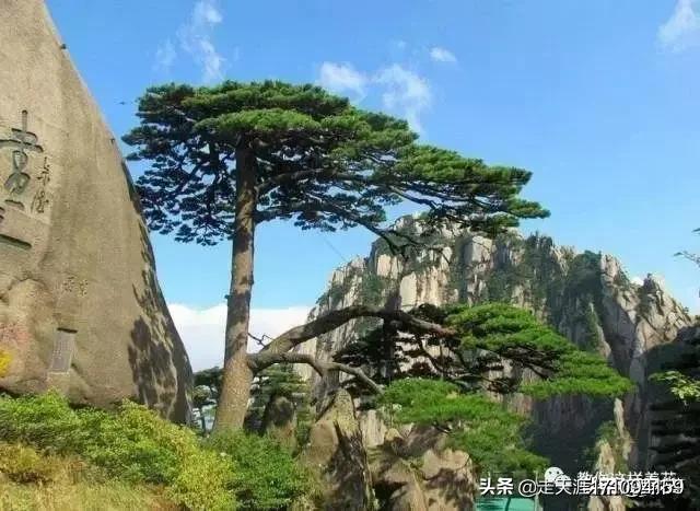 康康老婆:丈夫坚持妻子做家务要比丈夫多，怎么办？