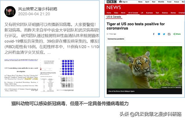 鸟的迁徙 法国:新冠肺炎有没有可能传染给鸟类，随着候鸟的迁徙传播到世界各地？
