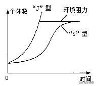 霍桑效应:如何让另一半越来越爱你？