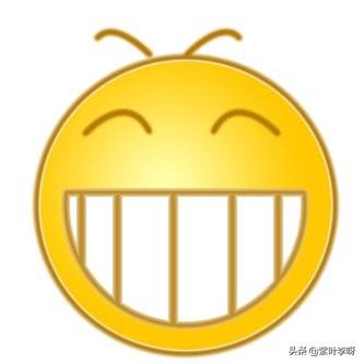 (笑脸蓝屏图片)-上犹电脑信息网