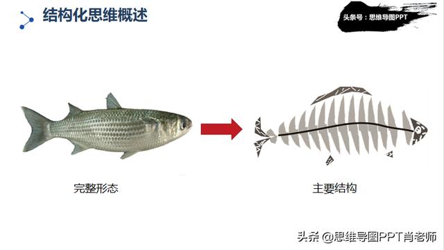 优秀思维模式有哪些？如何养成这些思维模式？