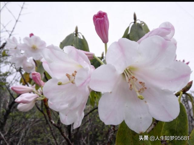 你去过哪些非常小众却又特别美的景点？插图66