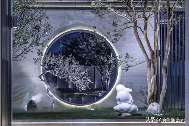 元宝枫图片:元宝枫图片大图 如何打造一个适合北方气候的庭院花园？
