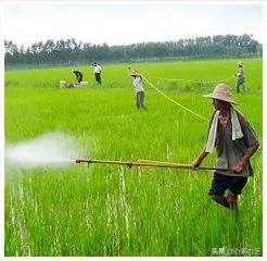 农村“四大硬、四大软、四大红、四大绿”,都是什么？知道的朋友可以科普一下吗？