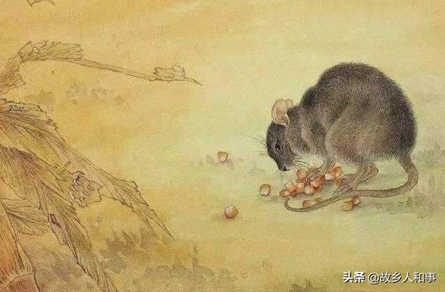 凌晨一点了,楼下还在把自家当ktv咚咚咚的吵,难以入睡怎么办？