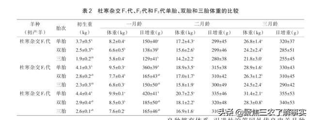 公羊兔与塞北兔杂交是什么兔:杜泊母羊和哪种公羊杂交最佳？