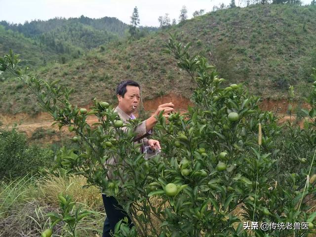 2020年不想出去打工了,想在农村创业,有什么好项目推荐吗？