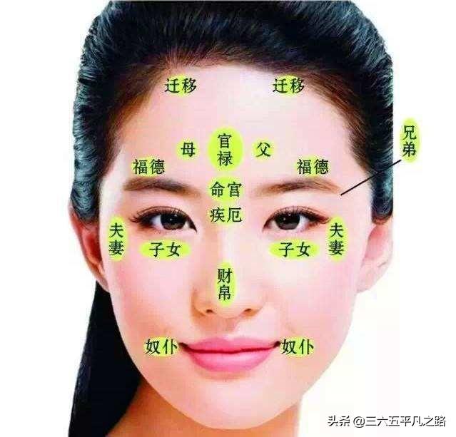 在面相学中有"天庭饱满吃虎饭,地阁方圆掌大权;眉看兄弟眼看心,人中