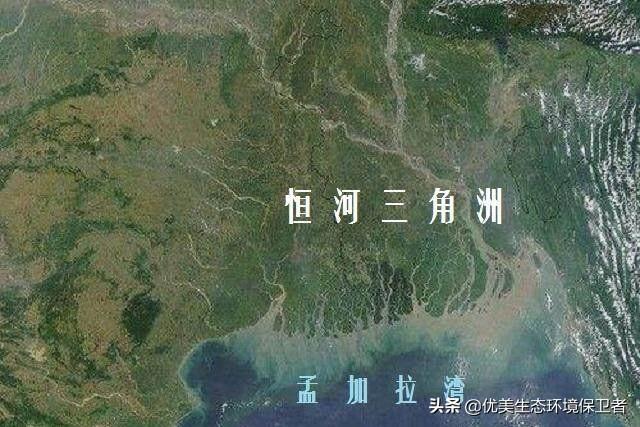恒河水有多脏？为什么印度人喝了还有很多人长寿？
