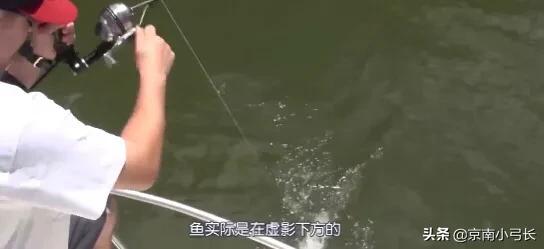 射水鱼会射击吗:射击小能手射水鱼视频 弹弓射鱼桥上往桥下射怎么射？如何找瞄点，如何瞄准？