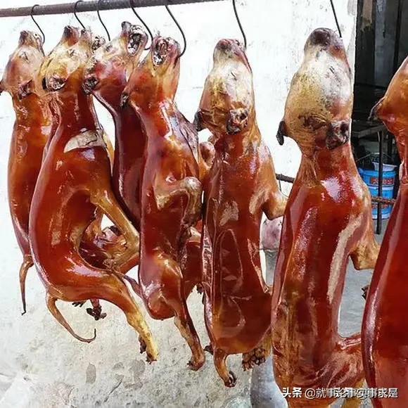 狗狗资源:LOL小狗在RNG拿到了多少地图资源？