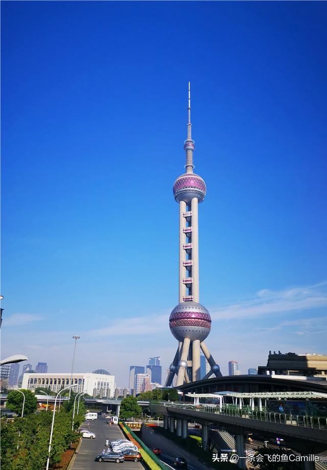 上海哪里好玩免费景点，第一次去上海，有哪些必玩景点不能错过