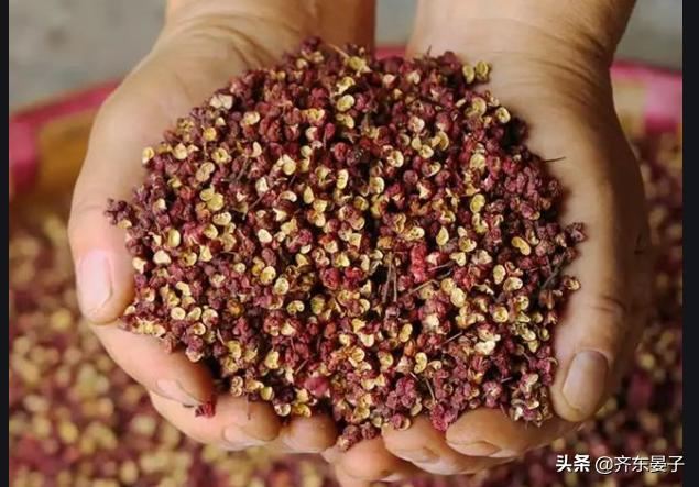 花椒籽怎么处理出芽率高，农村种植花椒树，直接用买的花椒籽播种可以吗