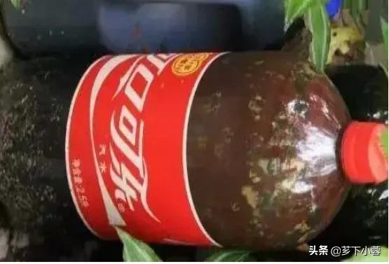植物必需的营养元素:化肥中的氮、磷、钾对植物分别有什么作用？