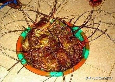 非洲人一般都吃什么呢？插图125