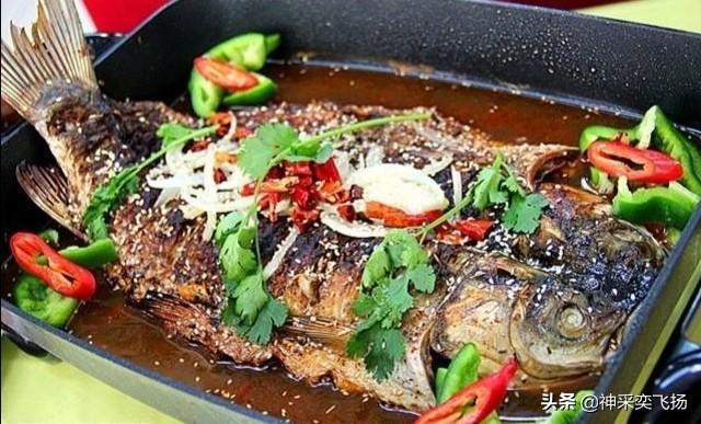 淡水鱼种类以及图片:你钓鱼最喜欢钓什么样的淡水鱼？