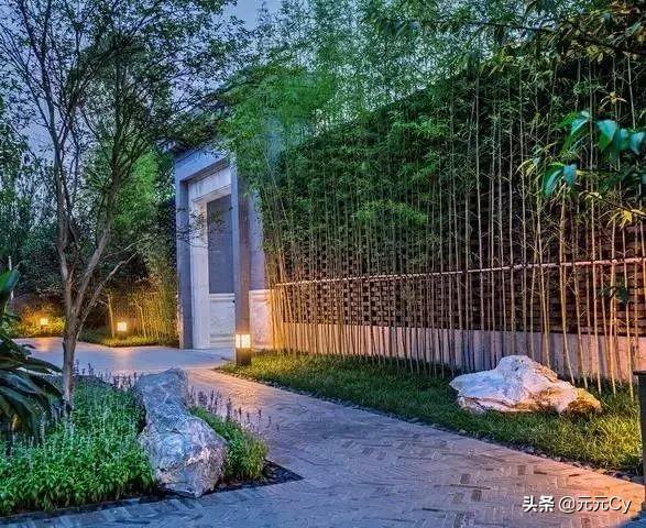 农村自家后院栽什么树好