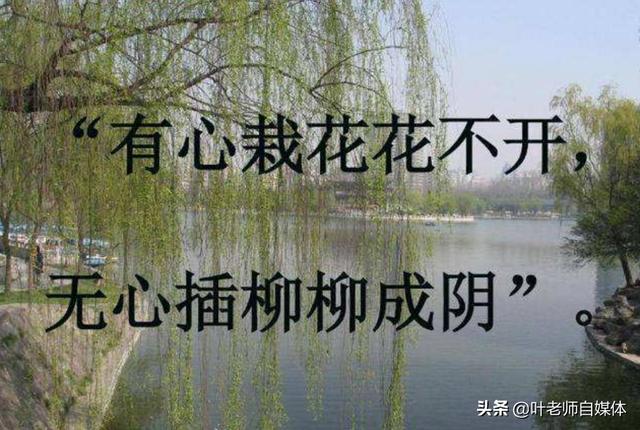 微信公众号会赚钱吗:自媒体（含微信公众号）真的那么容易上手赚钱吗？