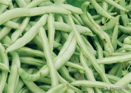 九月多吃四季豆对身体有好处吗，得了糖尿病，可以吃什么对身体有好处