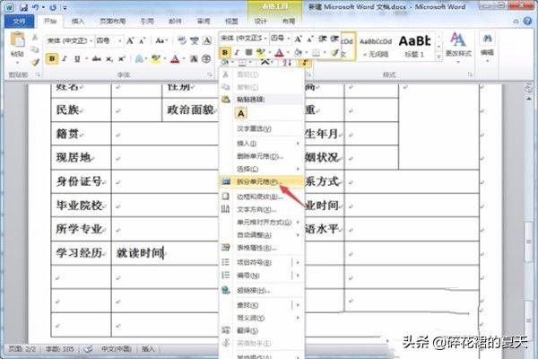 如何用word制作表格,如何用WORD制作简历表格？