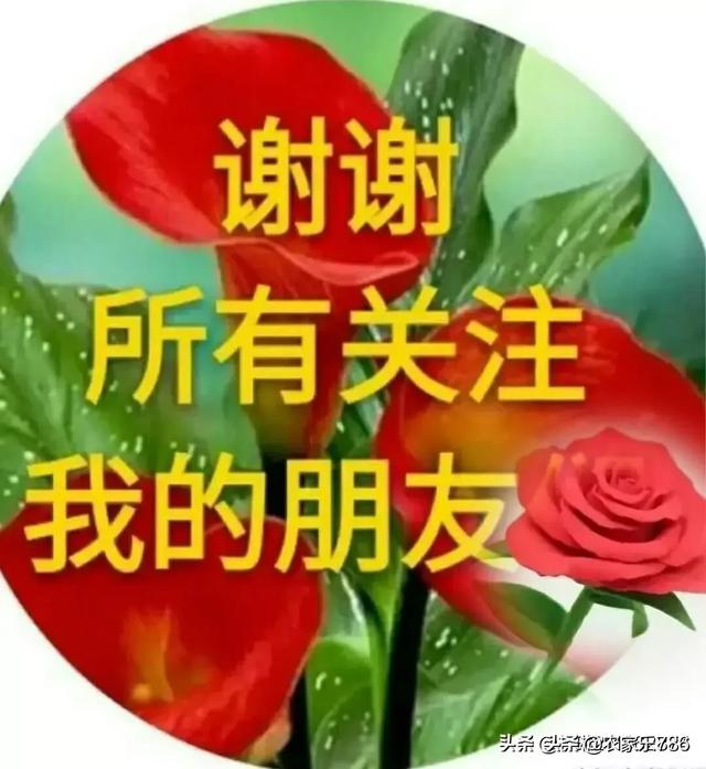 为什么感觉在头条上经常看到中小学教师发言很活跃,而医生护士却很少发言？