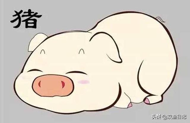 人们说属“猪”有福，听听你怎么说