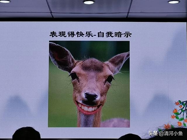精神压力几级最高:精神压力测试等级几级最高 大卫霍金斯的能量层级是真的吗？怎么达到开悟的能量等级？