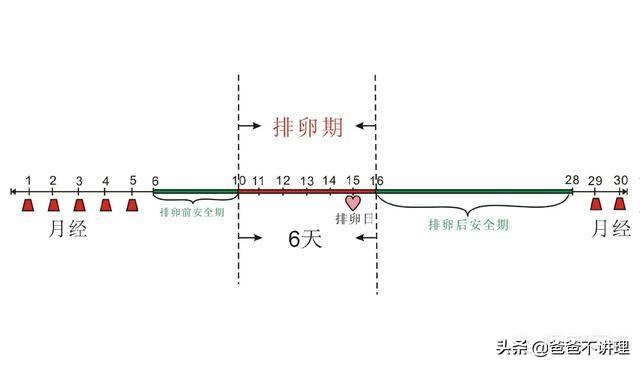 头条问答 排卵期间隔天同房会错过排卵吗 月经过后第几天同房最容易怀孕啊 爸爸不讲理的回答 0赞