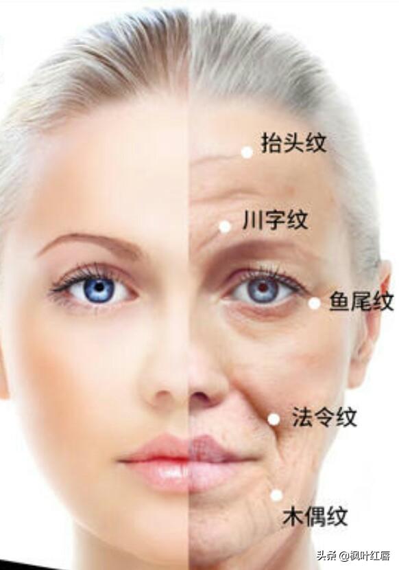 水解胶原纤脸面膜胶(水解胶原精华面膜)