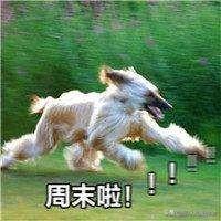 朱迅的父亲:男生做什么事情会让你马上同意做他的女朋友
