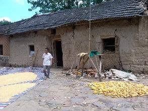 贺树峰个人资料:为什么赵本山允许徒弟们通过直播捞金，而郭德纲却不允许
