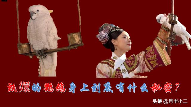 演员于越:影视作品中，有哪些你当时没看懂，后来才想明白或者意识到的剧情