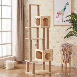买猫别墅好还是猫爬架:猫猫需要猫爬架和猫窝吗？有什么推荐的吗？