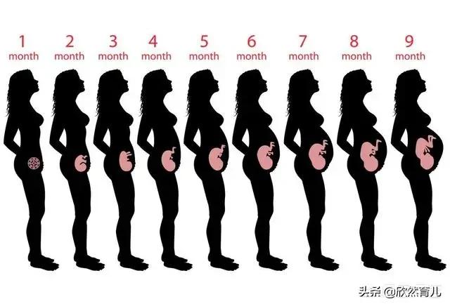 怀孕几个月肚子才会显怀，四个半月，孕妇肚子显吗，几个月开始显怀呢