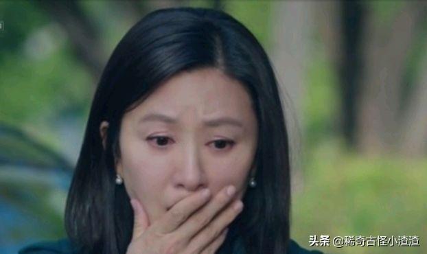 夫妻的世界更新时间:电视剧《夫妻的世界》有哪些槽点