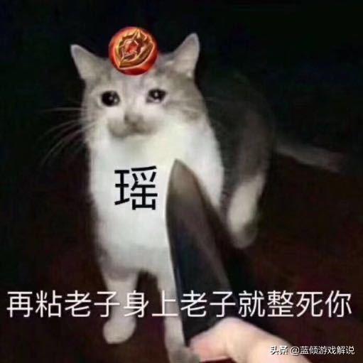 王者荣耀遇到会玩的瑶是什么感受？