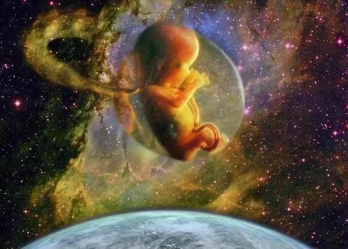 水鳖虫能在太空中繁育后代吗，太空受孕后会生下怎样的孩子