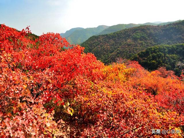 今年喜马拉雅山帝王花图片:请推荐五座你去过的山，五座你最想去却未去过的山？