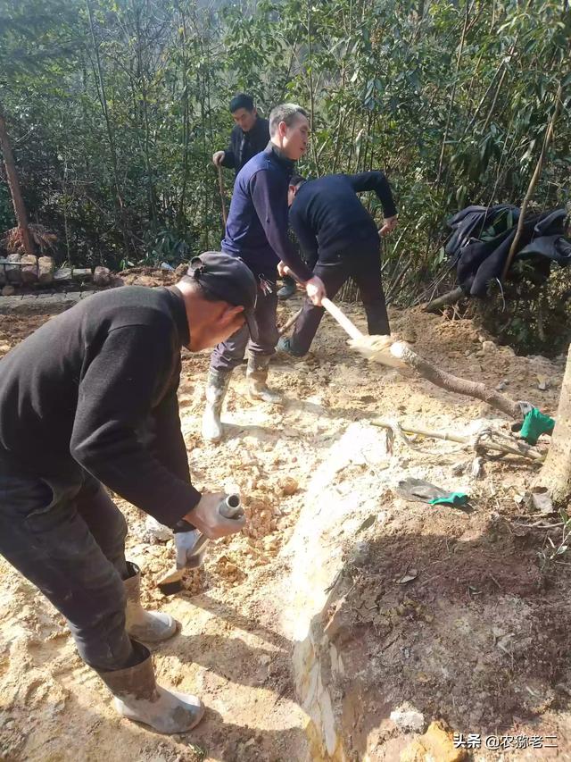 黄宗泽遛鸟:农村六十岁左右的人，大都还在干活挣钱，对此你怎么看