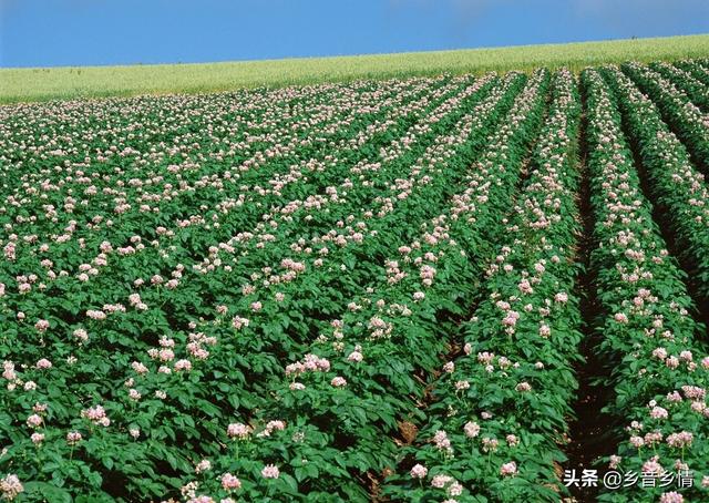 真菌过敏症的预防:真菌过敏症用药 小儿哮喘如何预防和护理？