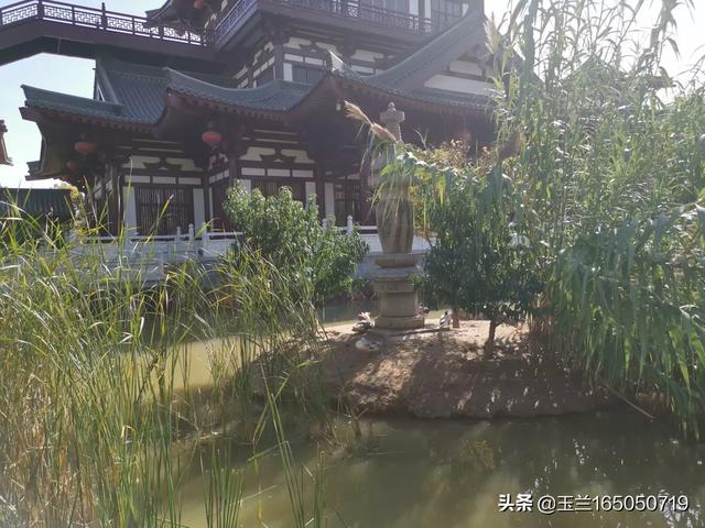 寒舞照片:你见过最让你心生悲凉的nba照片是哪张？