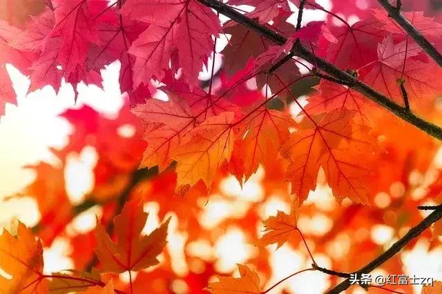 自驾游需要准备什么?插图12 自驾游需要准备什么?插图12