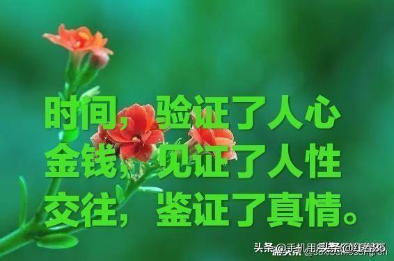 物以类聚,人以群分。你觉得什么样的人最合得来,值得交往？