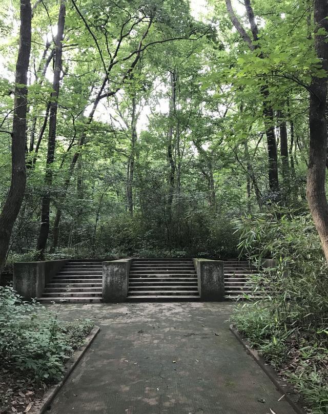 马汉三:乾隆的“九龙宝剑”是何来历？为何传言的那么厉害？