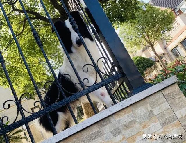 家住别墅是什么样的感觉？插图72