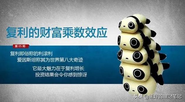 贵州斗狗大赛视频直播:民间斗狗比赛视频直播 靠基金投资的话，能不能发家致富呢？