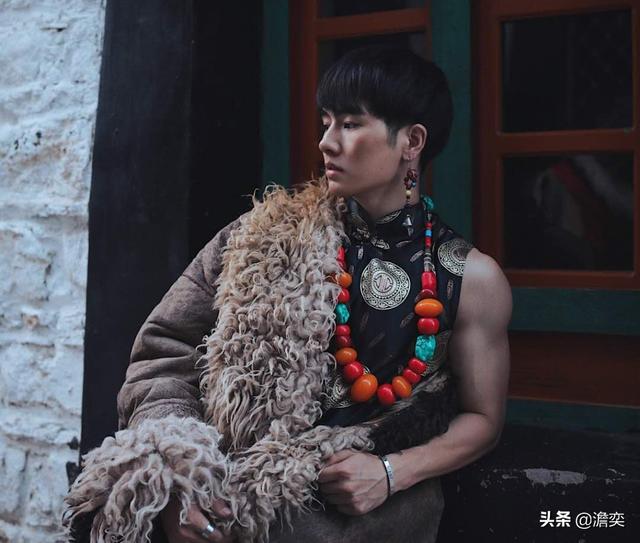 西藏首次发现亚洲胡狼:鬣狗和亚洲胡狼单挑或者群挑，谁更厉害？你怎么看？