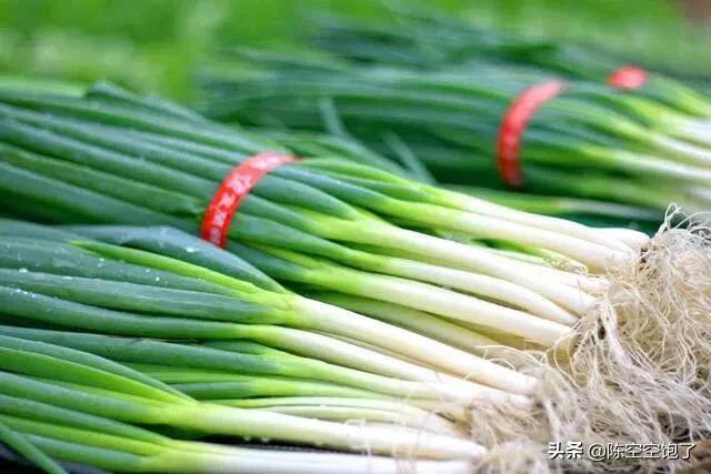 头条问答 就想问一下为什么我们吃的葱花并不是花 26个回答